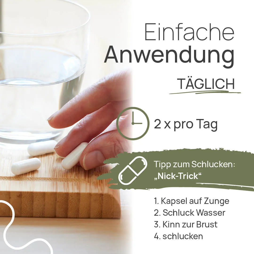 TISSO Naturprodukte Carousel Anwendung AminoMA8