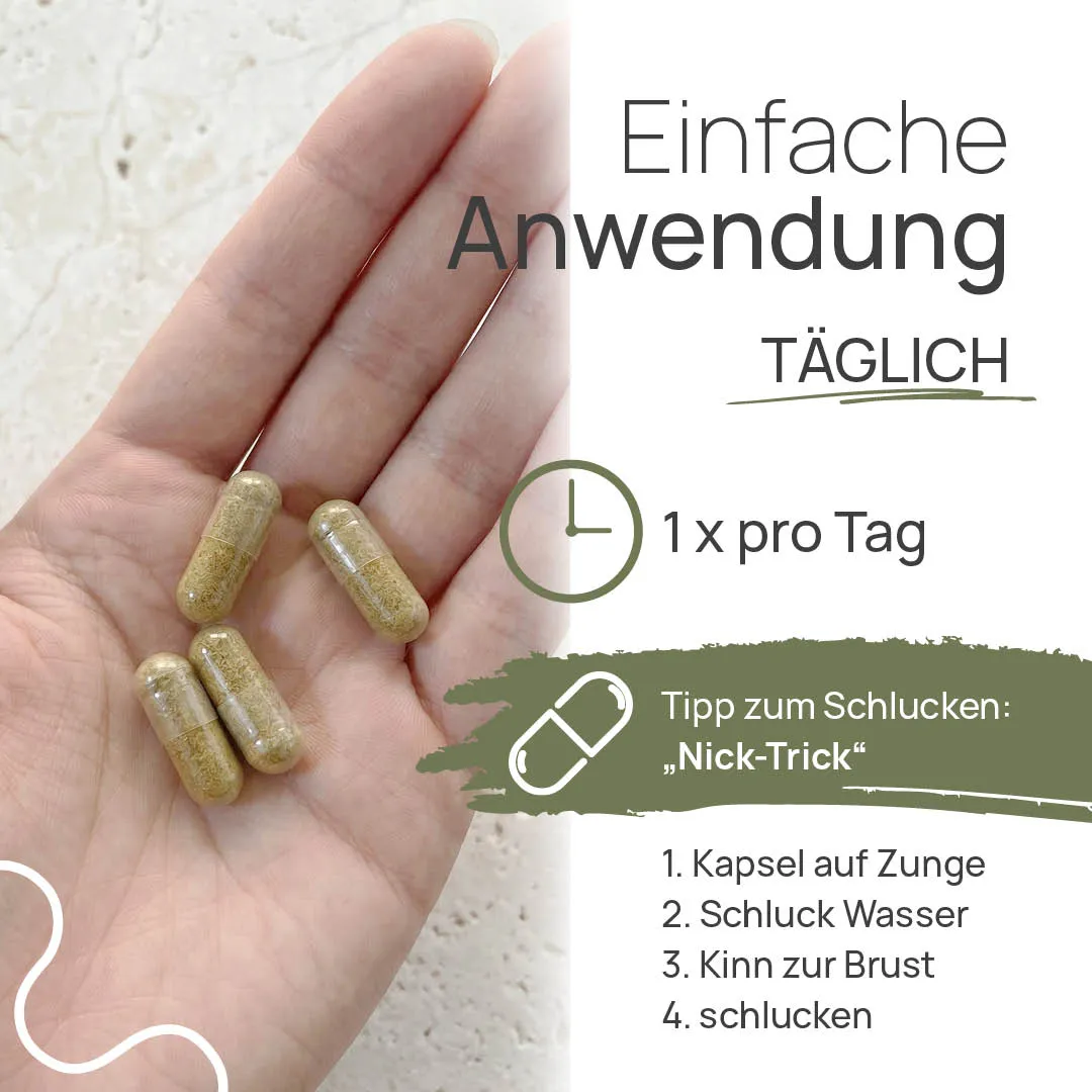 TISSO Naturprodukte Carousel Anwendung MetabolAktiv