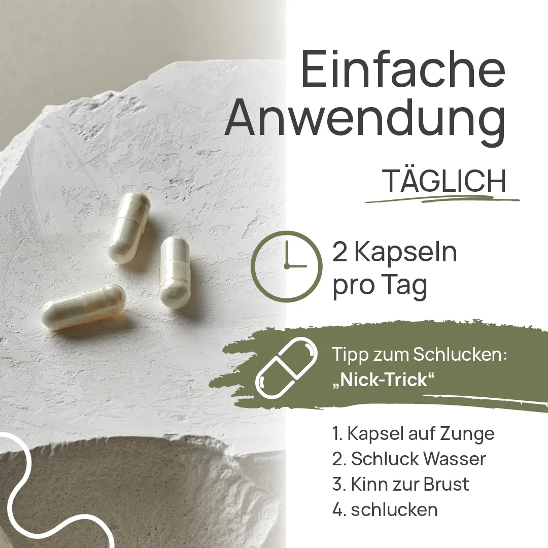 TISSO Naturprodukte Carousel Anwendung DarmInMotion