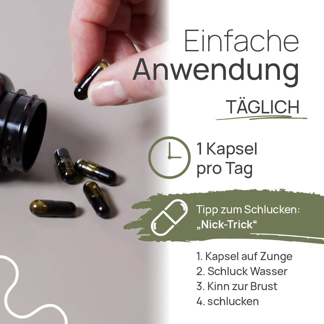 TISSO Naturprodukte Carousel Anwendung Astaxanthin